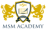 MSM Academy eurostudy