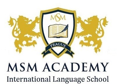 msm academy eurostudy