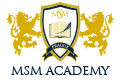 МСМ академия логотип eurostudy