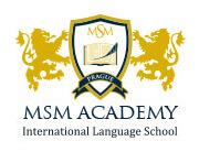 msm logo
