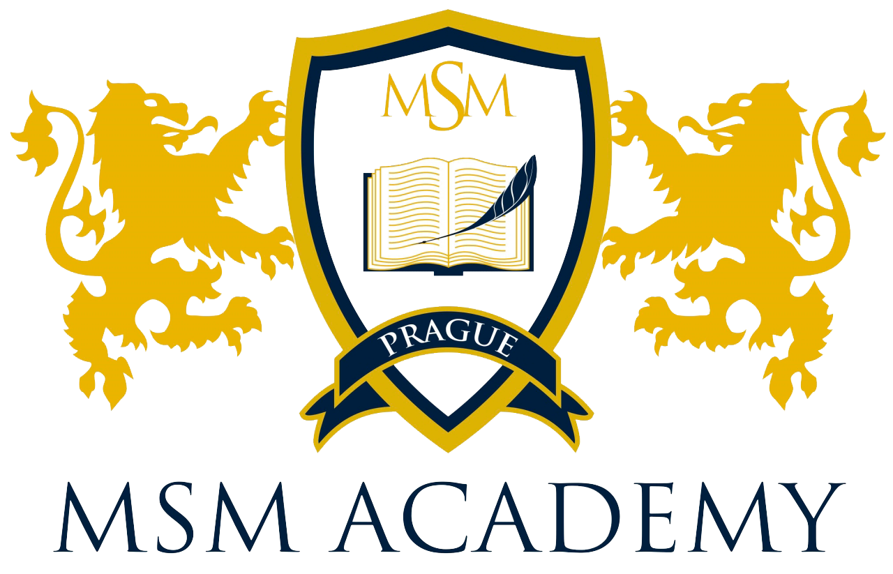 MSM Academy eurostudy