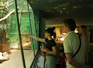 пражский зоопарк eurostudy